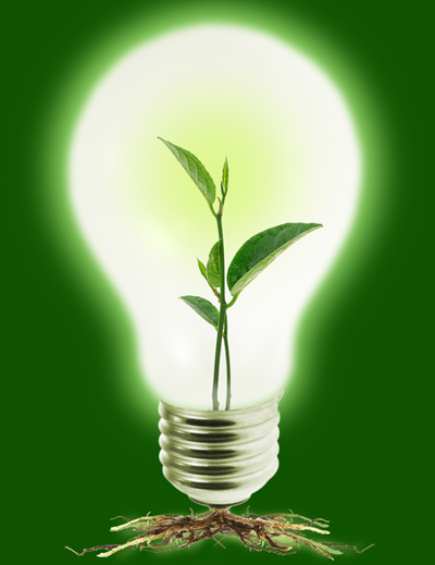 Ampoules basse consommation, Des économies d'électricité à long terme